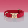 PAWSOME DOG COLLAR - #23-0