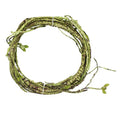 Tropical Rainforest Reptile Habitat Kit-4