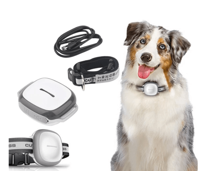 Pet Trackpro-0