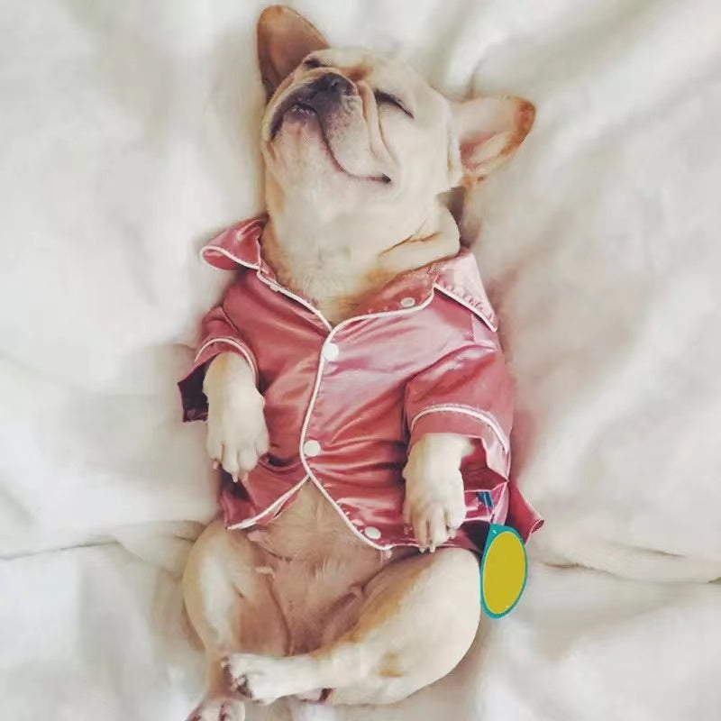 Pet Pajama-1
