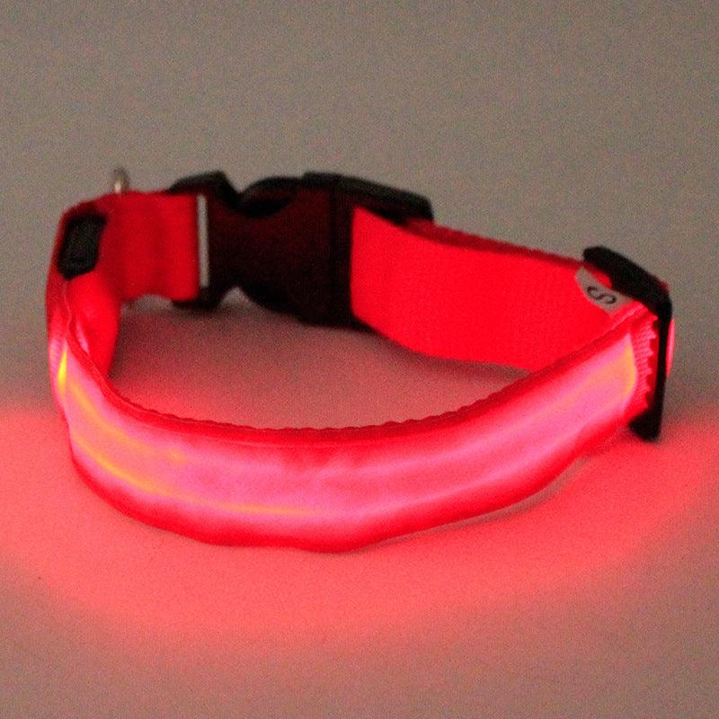 Vibrant Nylon Dog Collar - Available In Multiple Colors And Sizes-4