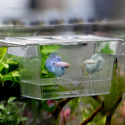 Aquarium Fish Tank Hatchery Box-0