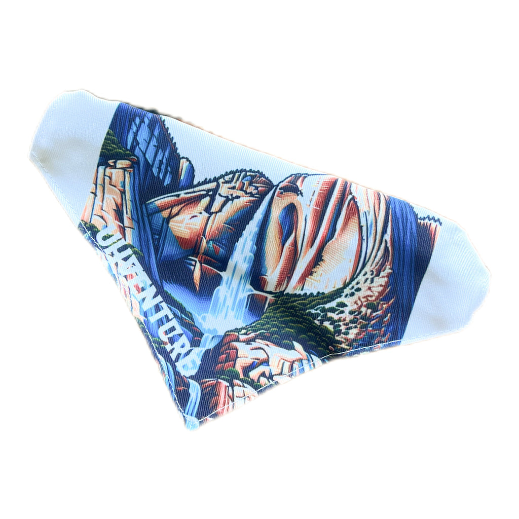 National Park Dog Collar-5